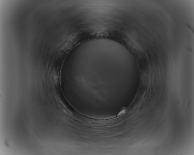 X0000097590039200803071331