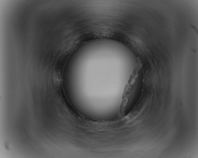 X0000097590040200803071331