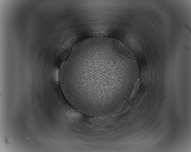 X0000097590041200803071331