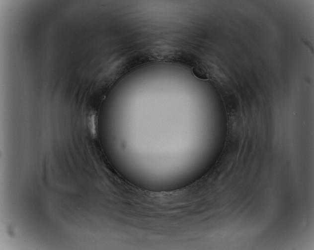 X0000097590042200803071331