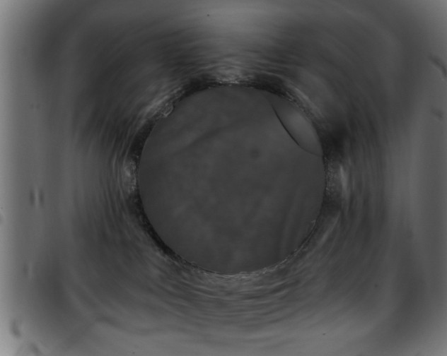 X0000097590043200803071331