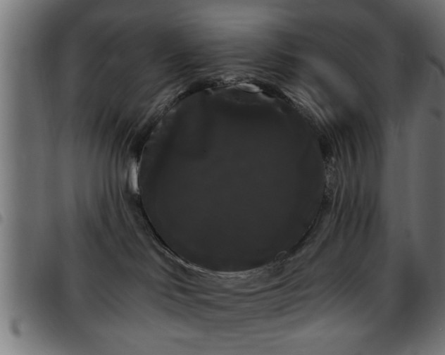 X0000097590046200803071330