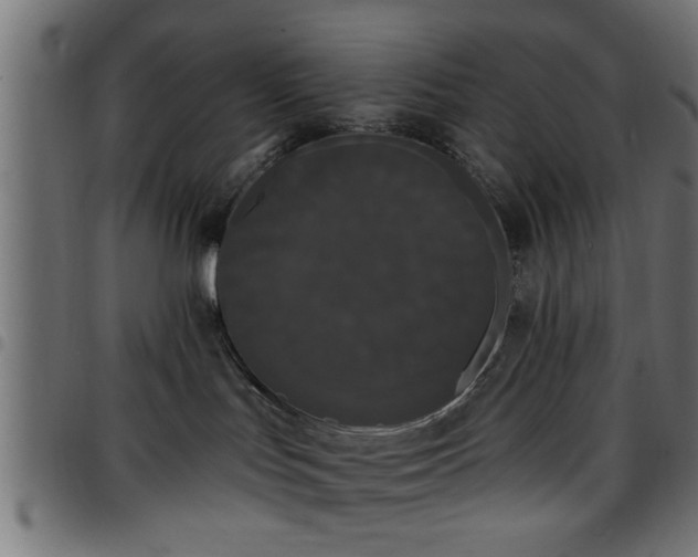 X0000097590047200803071330