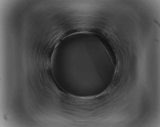 X0000097590048200803071330