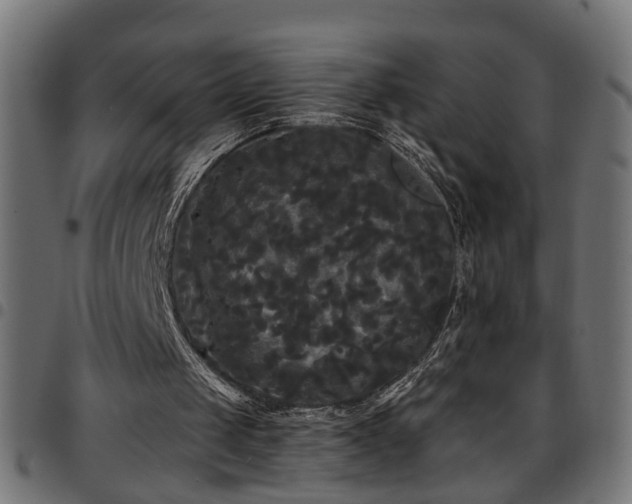 X0000097590049200803071330