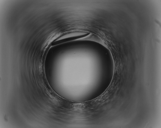 X0000097590050200803071330