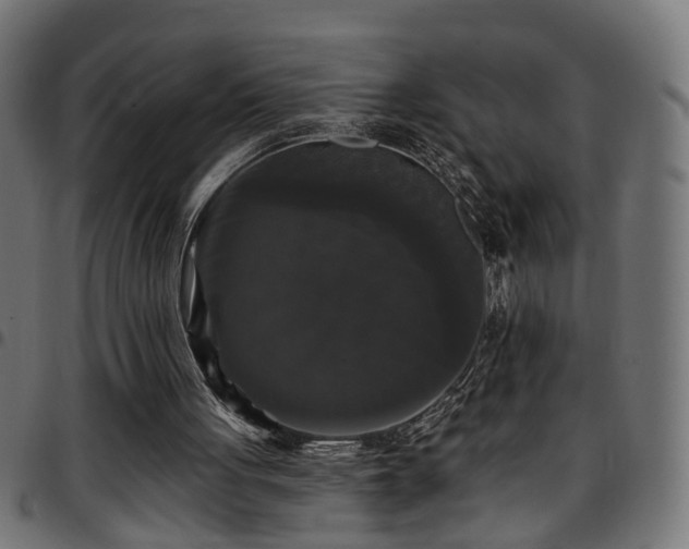 X0000097590051200803071330