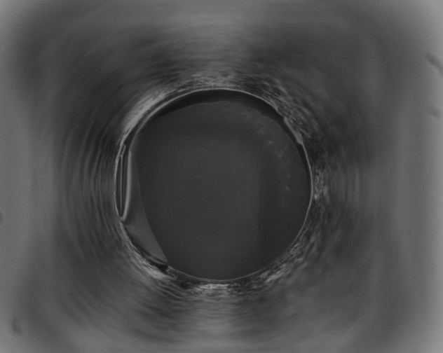 X0000097590052200803071330