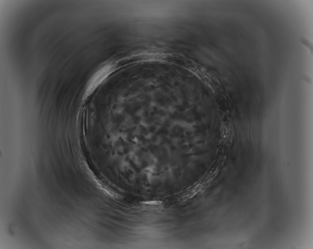 X0000097590053200803071330