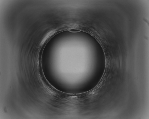 X0000097590054200803071330