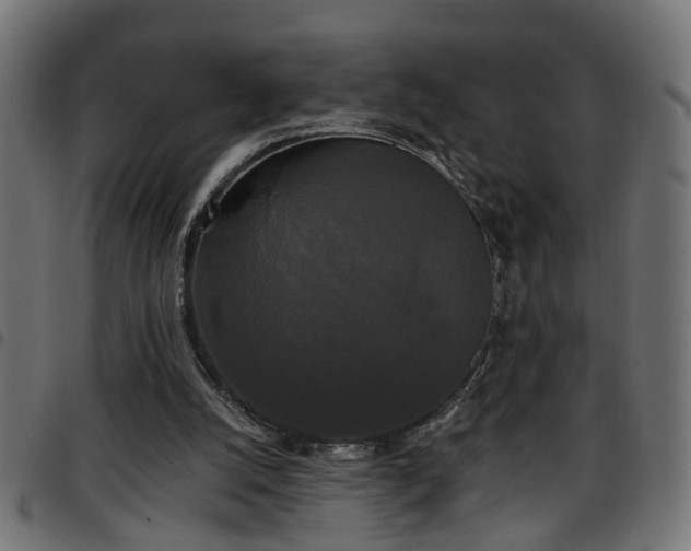 X0000097590056200803071330