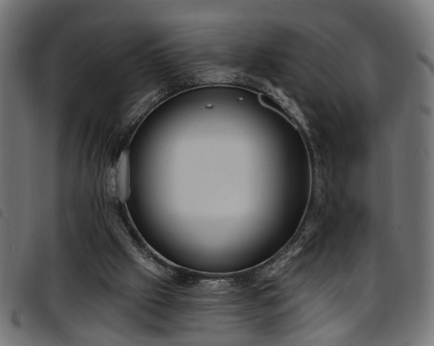 X0000097590057200803071330