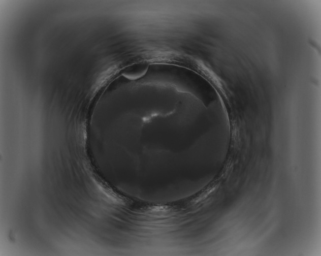 X0000097590059200803071330