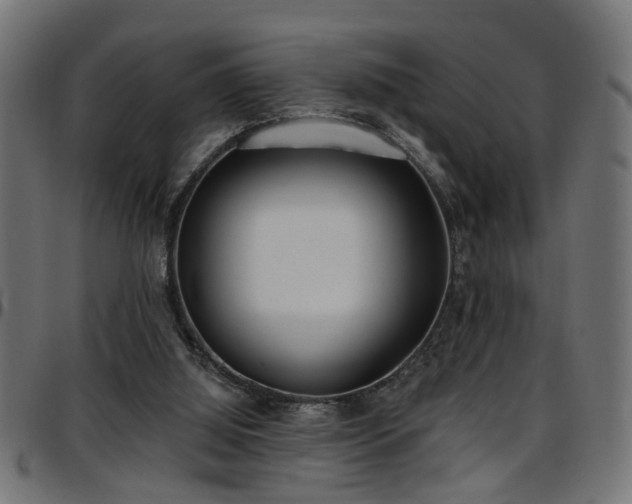 X0000097590060200803071330