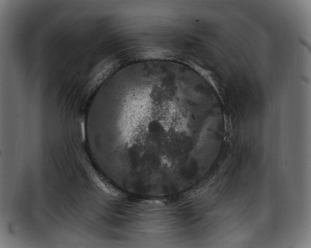 X0000097590061200803071330