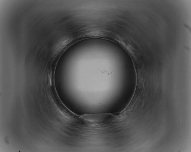 X0000097590062200803071330