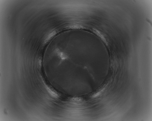 X0000097590063200803071330