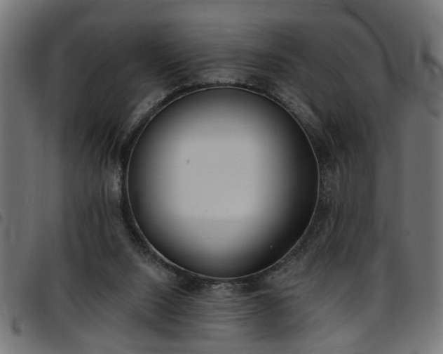 X0000097590064200803071330