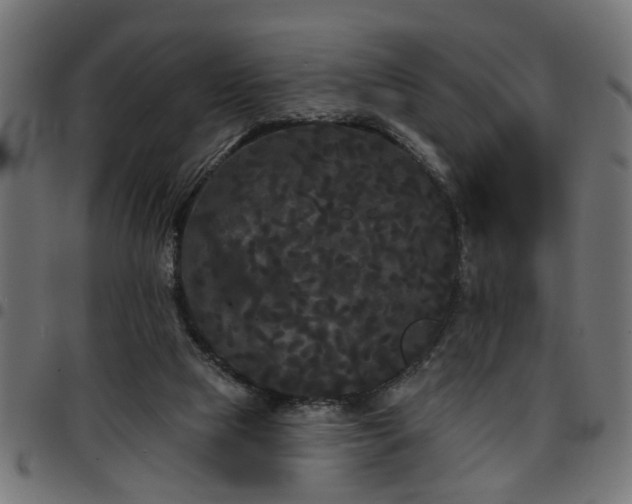 X0000097590065200803071330