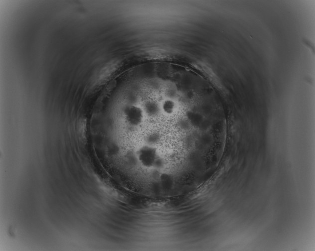 X0000097590066200803071330