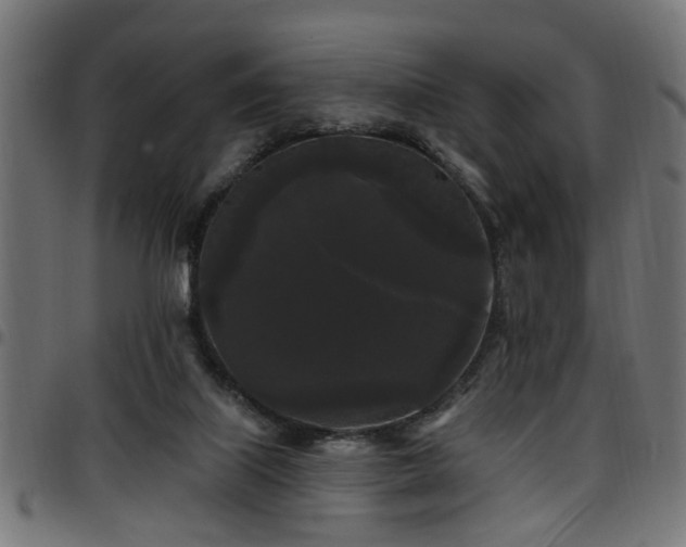 X0000097590067200803071330