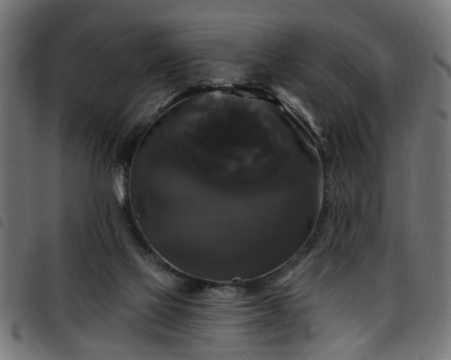 X0000097590069200803071330