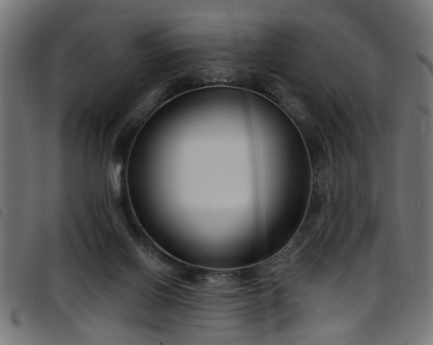 X0000097590070200803071330