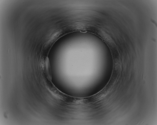 X0000097590072200803071330