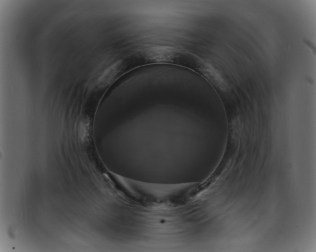 X0000097590073200803071330