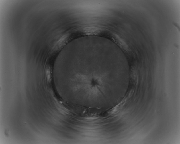 X0000097590074200803071330