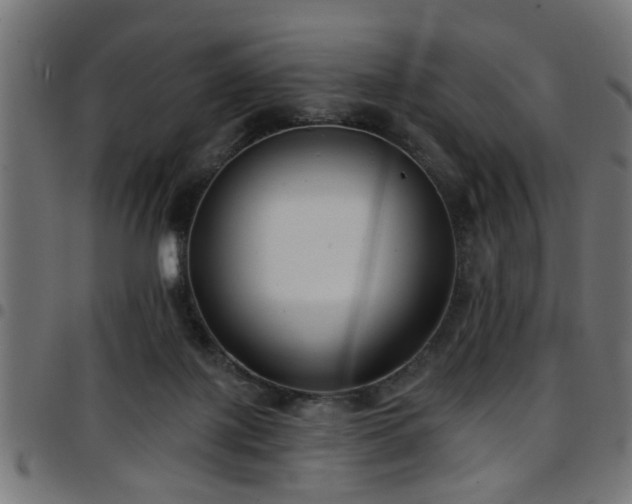 X0000097590075200803071330