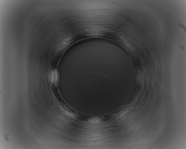 X0000097590076200803071330