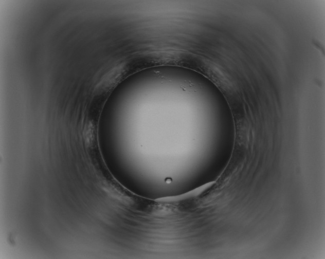 X0000097590077200803071330