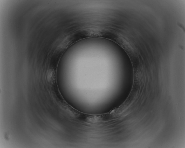 X0000097590079200803071330