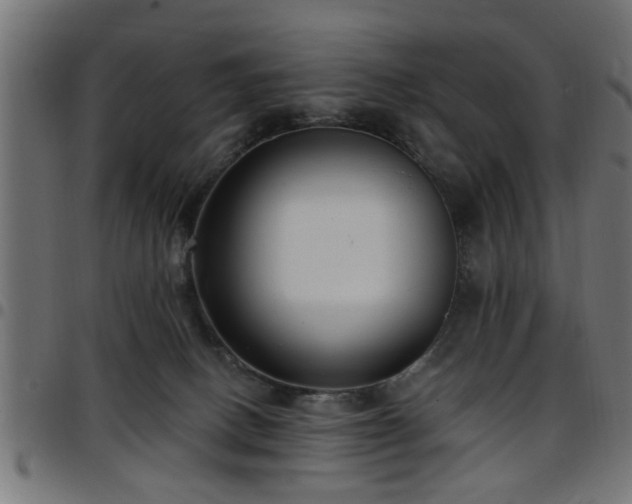 X0000097590082200803071330