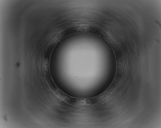 X0000097590083200803071330