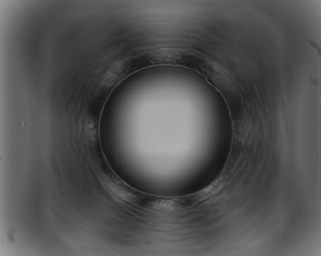 X0000097590086200803071330