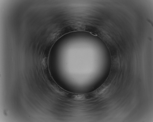 X0000097590088200803071330