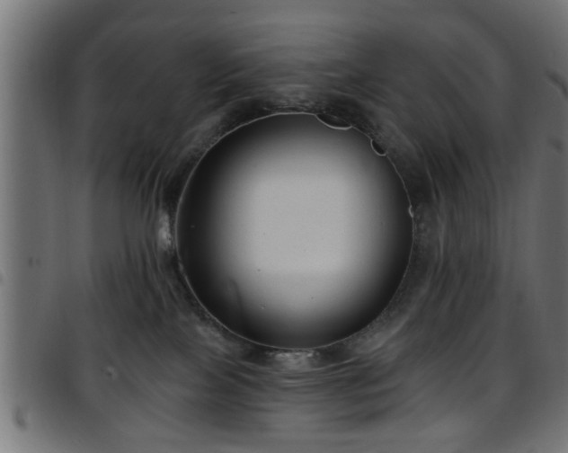 X0000097590089200803071330