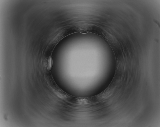 X0000097590091200803071330