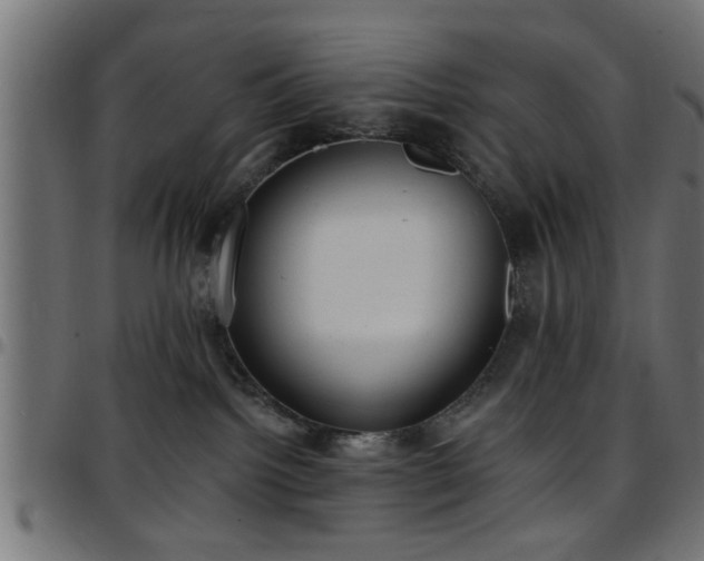 X0000097590092200803071330