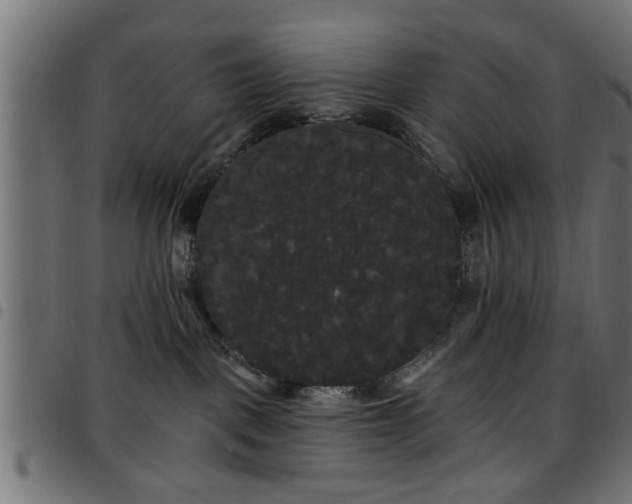 X0000097590093200803071330