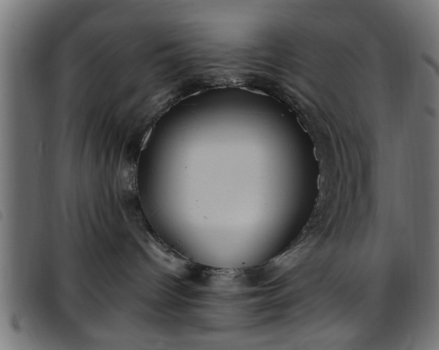 X0000097590096200803071330