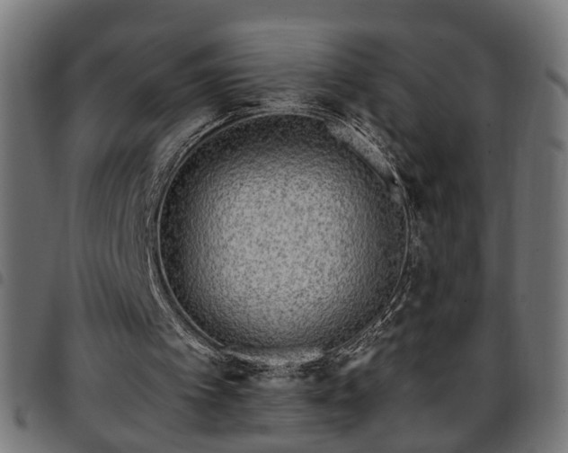 X0000097590097200803071330