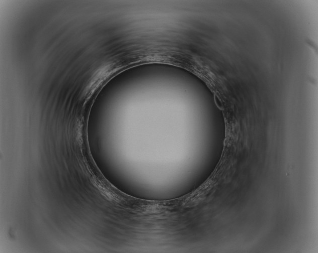 X0000097590098200803071330