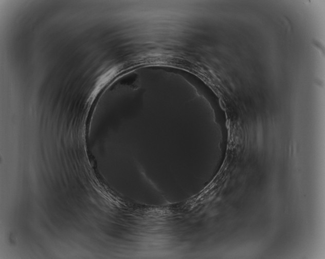 X0000097590099200803071330