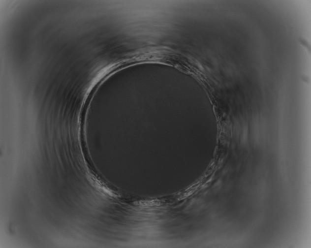 X0000097590100200803071330