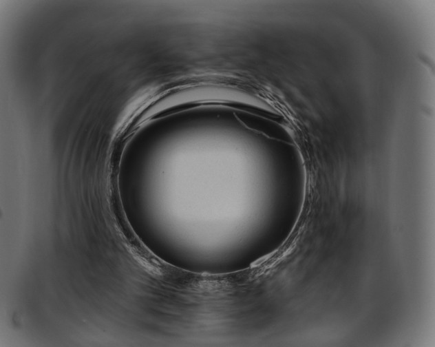 X0000097590101200803071330