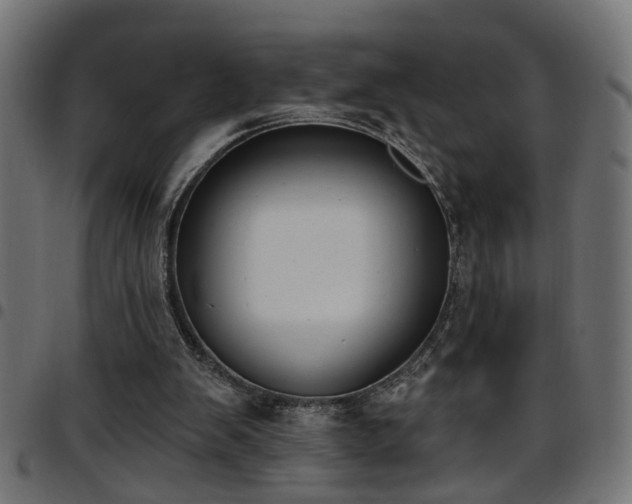 X0000097590103200803071330