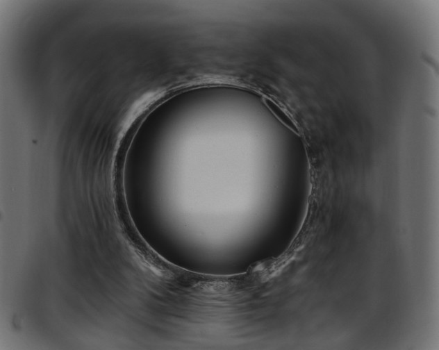 X0000097590104200803071330